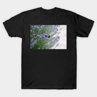 Bumble Bee Lavender Photography Print T-Shirt